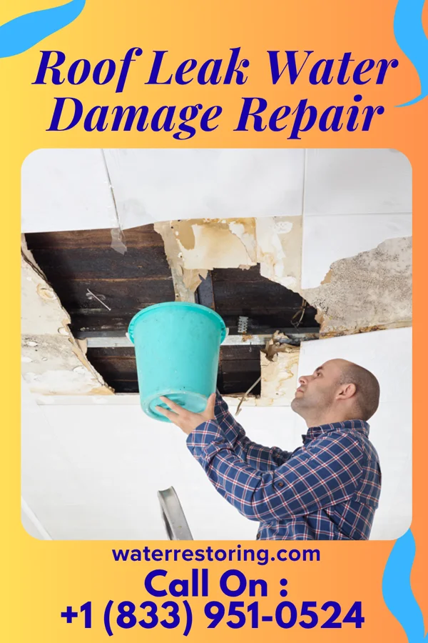 Roof Leak Water Damage Repair in Carnegie, PA