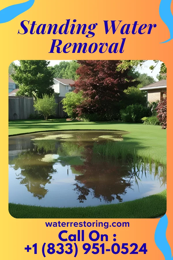 Standing Water Removal in Carnegie, PA